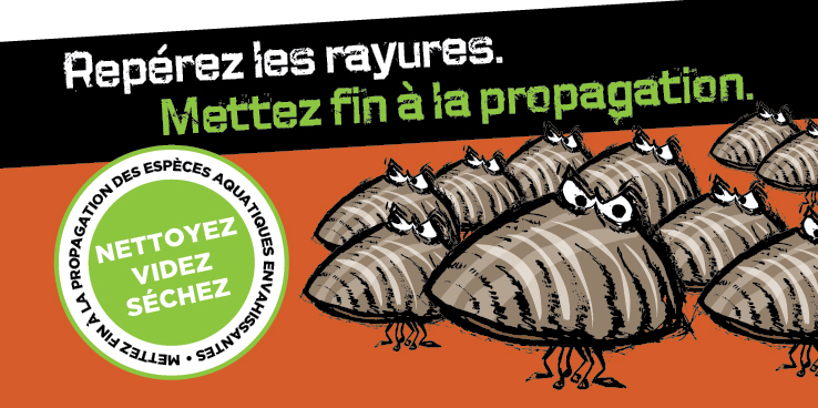 Rep�rez les rayures. Mettez fin � la propagation