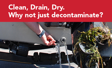 Aquatic Invasive Species Detection