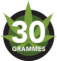 Vous pouvez poss�der en public jusqu'� trente grammes de cannabis