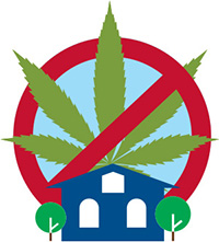 Il est interdit de faire pousser du cannabis � la maison.