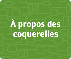 � propos des coquerelles