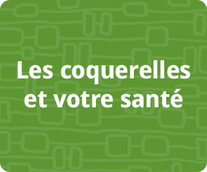 Les coquerelles et votre sant�
