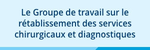  Groupe de travail sur le r�tablissement des services chirurgicaux et diagnostiques.