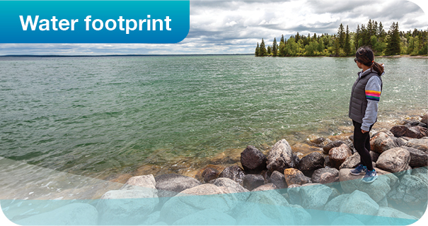 Water footprint
