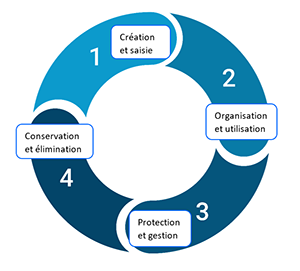 1 - Cr�ation et saisie des documents, 2 - Organisation et utilisation des documents, 3 - Protection et gestion des documents, 4 - Conservation et �limination des documents