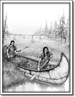 R&eacute;colte du riz sauvage au Manitoba